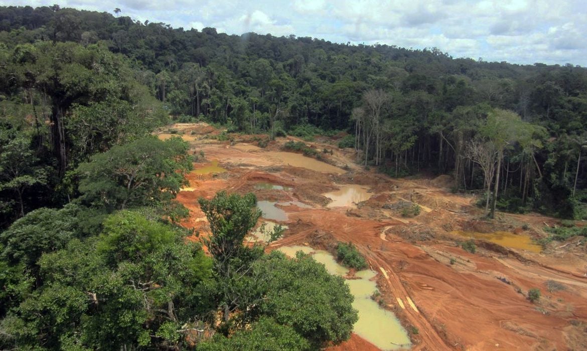 Ao longo dos últimos quatro anos, projetos voltados para a proteção do meio ambiente emperraram na Câmara, e os de destruição avançaram. Foto: Polícia Federal 