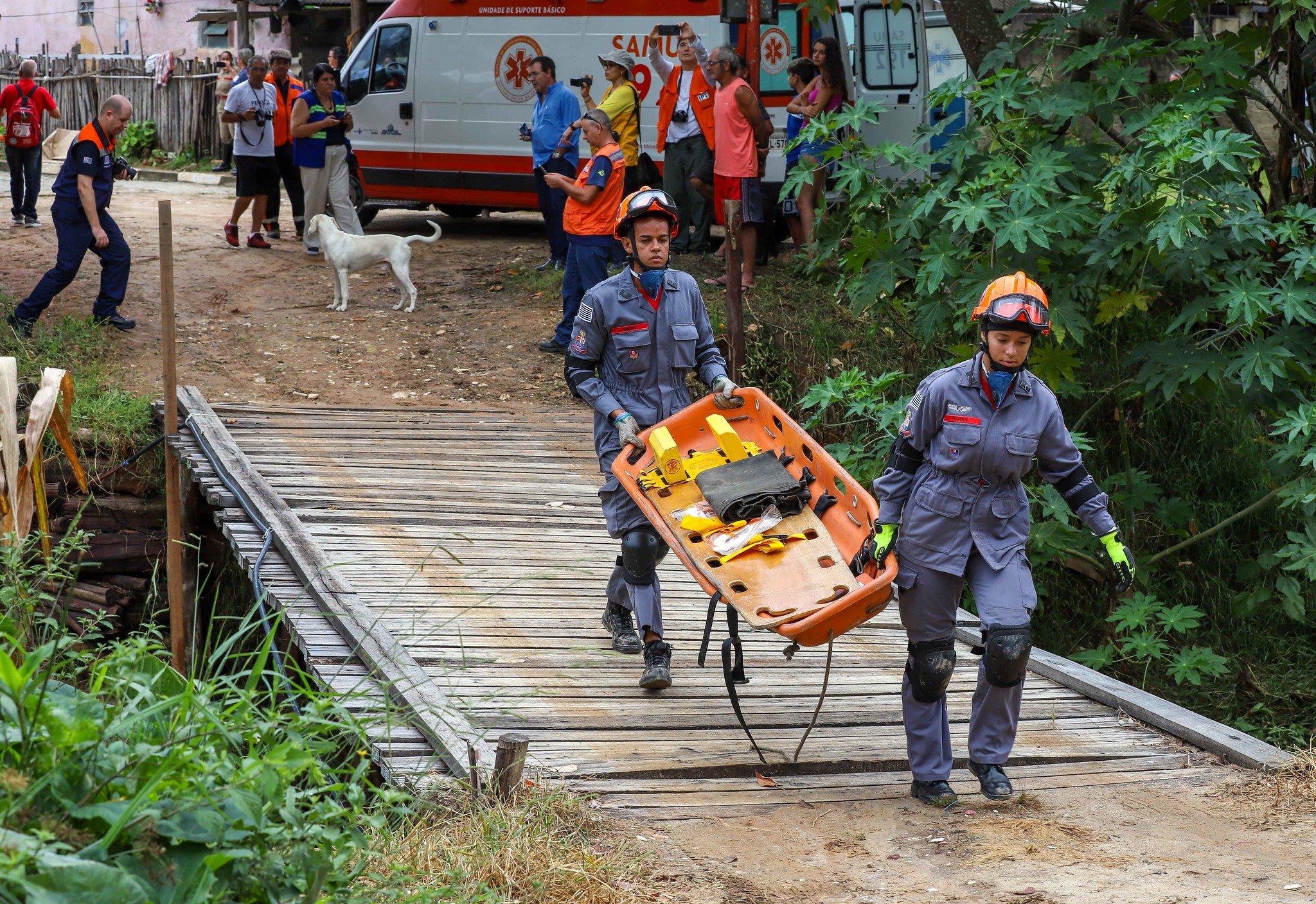 Membros da Defesa Civil de São Paulo participam de simulação de resgate, em foto de 2019. Foto: Governo do Estado de São Paulo