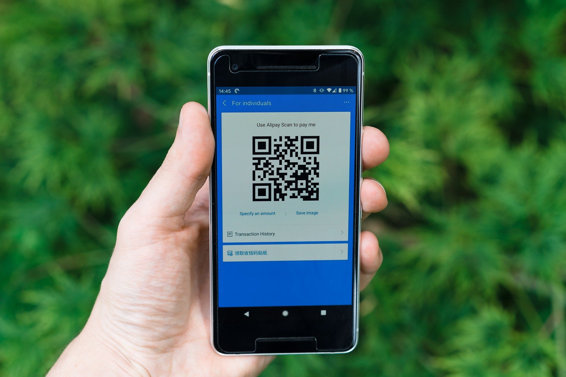 Esta única opção, a do QR CODE no cardápio, já tinha virado polêmica. Foto: Pixabay