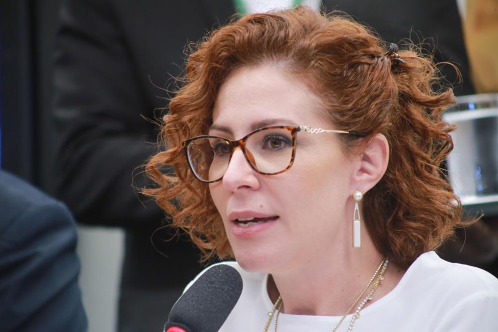 Carla Zambelli. Foto: Paulo Sérgio/Câmara dos Deputados