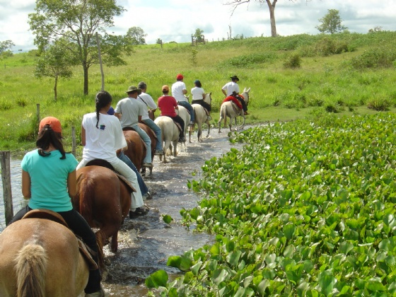 Para Mariana Lacerda, é preciso maior investimento público na promoção do turismo rural. Foto: Instituto Brasil Rural