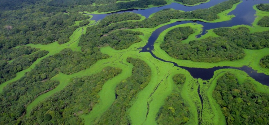 Lei que repassou aos municípios a definição de regras específicas de uso e ocupação do solo nas Áreas de Preservação Permanente (APPs) de margens de rios e mananciais põe em risco a proteção ambiental