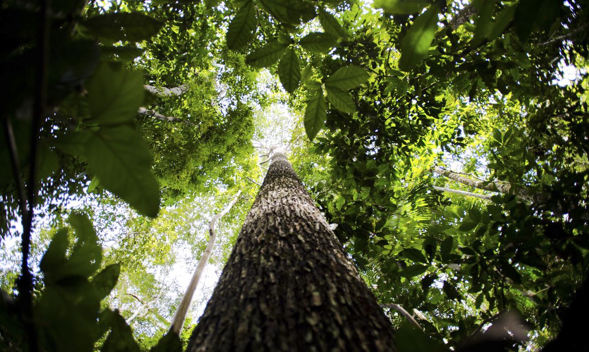 A Câmara realiza uma audiência pública para apresentar o Relatório Luz 2022, que trata dos Objetivos de Desenvolvimento Sustentável (ODS). Foto: Marcelo Camargo/Agência Brasil