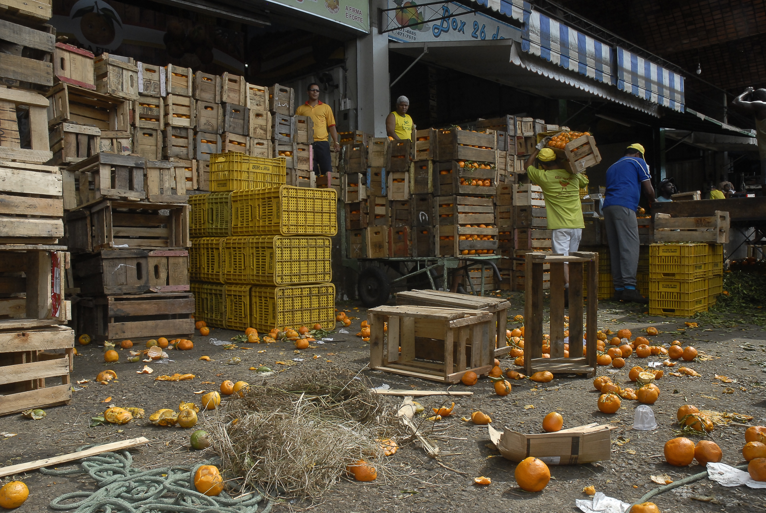 Desperdício de alimentos na Ceasa, em Brasília. Foto: Agência Brasil