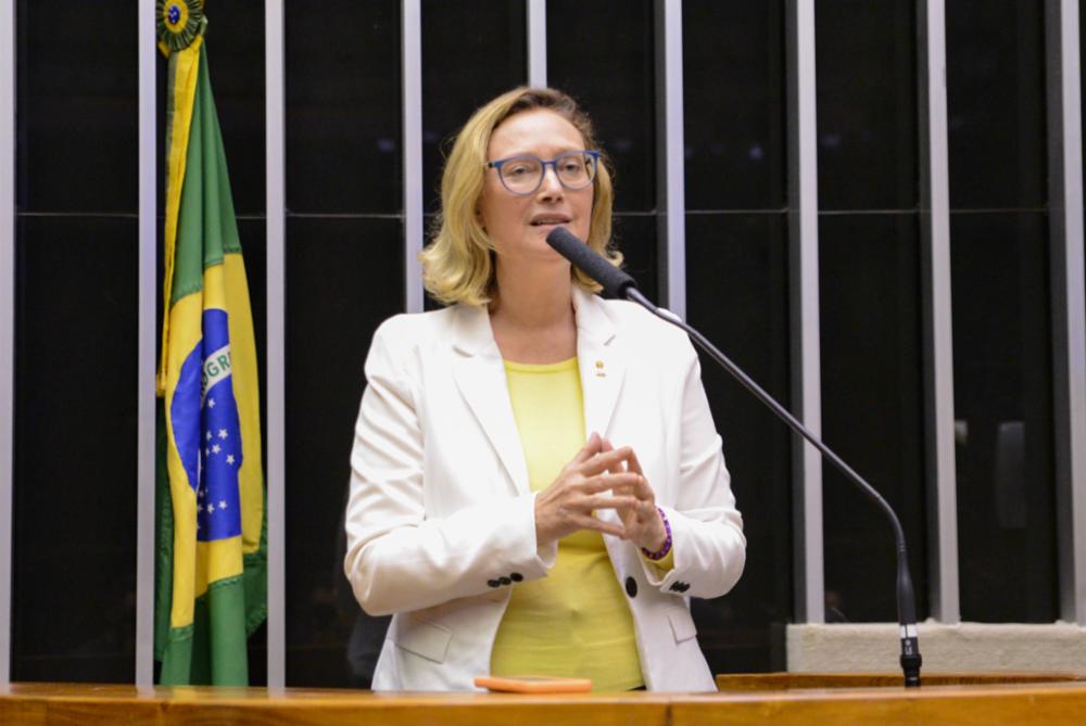 A deputada federal Maria do Rosário (PT-RS) e movimentos sociais em defesa da criança e adolescente acionaram o MPF para apurar a denúncia. Foto: Wesley Amaral/Câmara dos Deputados