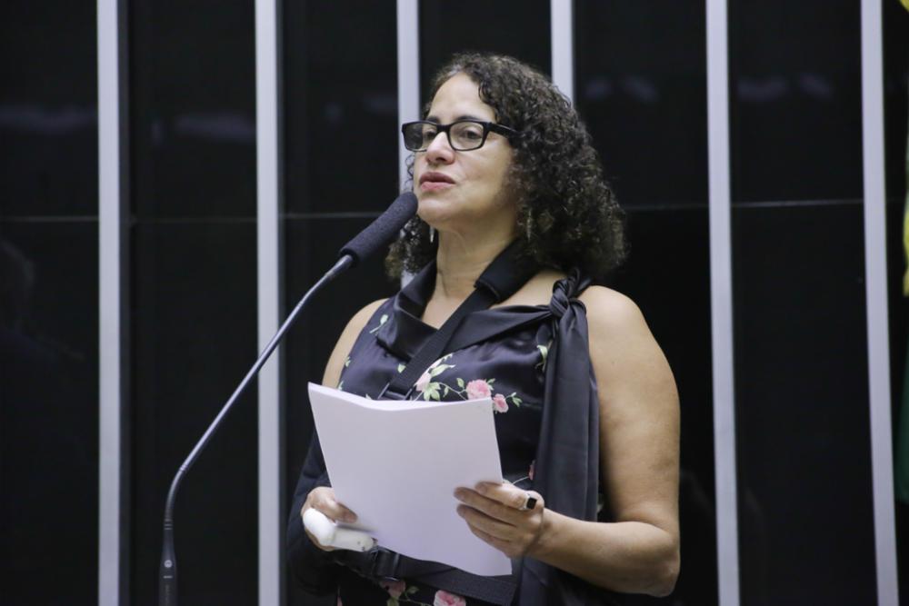 futura ministra chegou a ser candidata a vice-governadora nestas eleições na chapa do deputado federal Danilo Cabral (PSB-PE), mas o projeto não chegou a ir ao segundo turno. Foto: Paulo Sérgio/Câmara dos Deputados