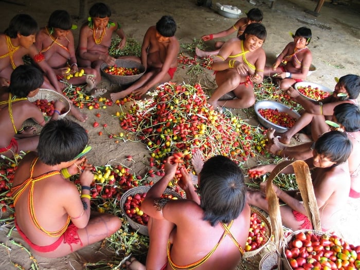 Relatório do Instituto Socioambiental alerta para a falta de impacto nas ações de amparo ao povo Yanomami no primeiro semestre. Foto: Kristian Bengtson, 2003