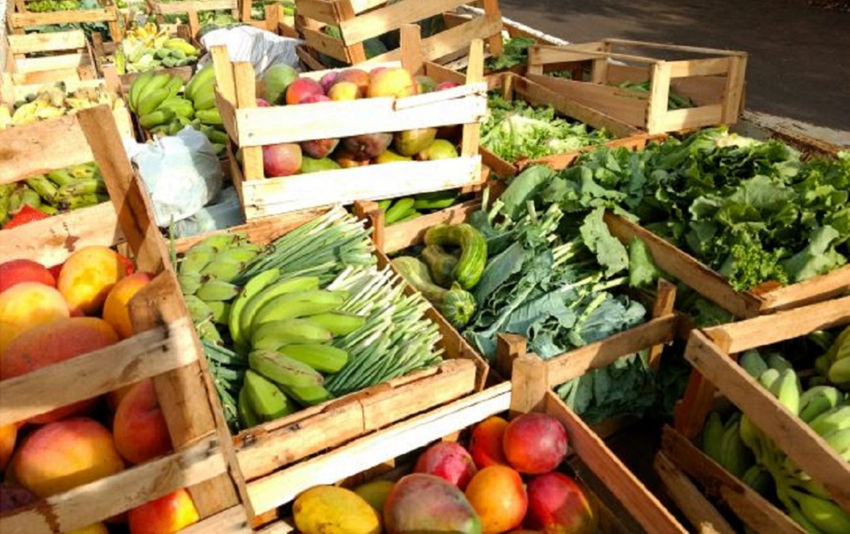 Direito à alimentação adequada ainda não é respeitado no país. Foto: Fundo Social de Solidariedade/SP