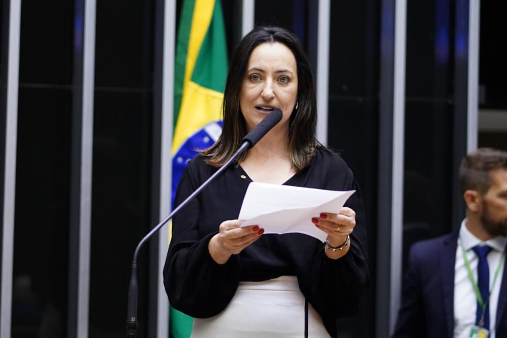 Rosângela Moro pretende trabalhar na Câmara para ser relatora do projeto protocolado por Moro no Senado que estabelece como crime a conspiração e o ordenamento de ataques a agentes públicos com o objetivo de atrapalhar investigações contra organizações criminosas. Foto: Pablo Valadares/Ag. Câmara