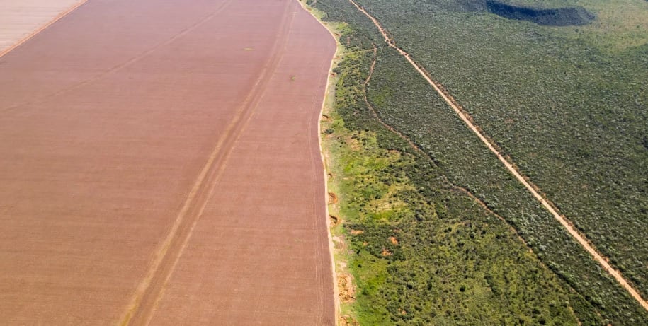 Fronteira entre desmatamento e Cerrado no oeste da Bahia. Foto: Rafael Coelho/Ipam