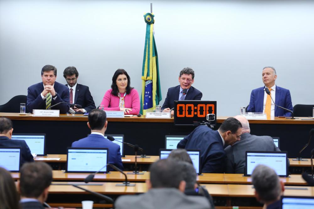 A ministra Simone Tebet, do Planejamento, em audiência pública sobre a reforma tributária na Câmara. Foto: Vinicius Loures/Agência Câmara