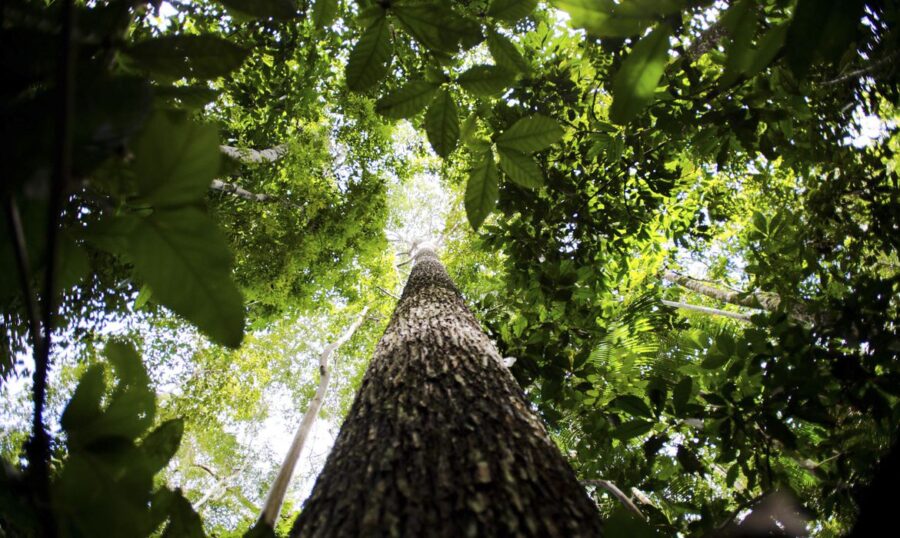 Relatório da primeira Virada Parlamentar Sustentável registra 88 propostas legislativas apresentadas por mais de 65 entidades civis. Foto: Marcelo Camargo/Agência Brasil