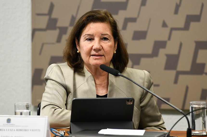 Maria Luiza Ribeiro Viotti. Foto:
Jefferson Rudy/Agência Senado 