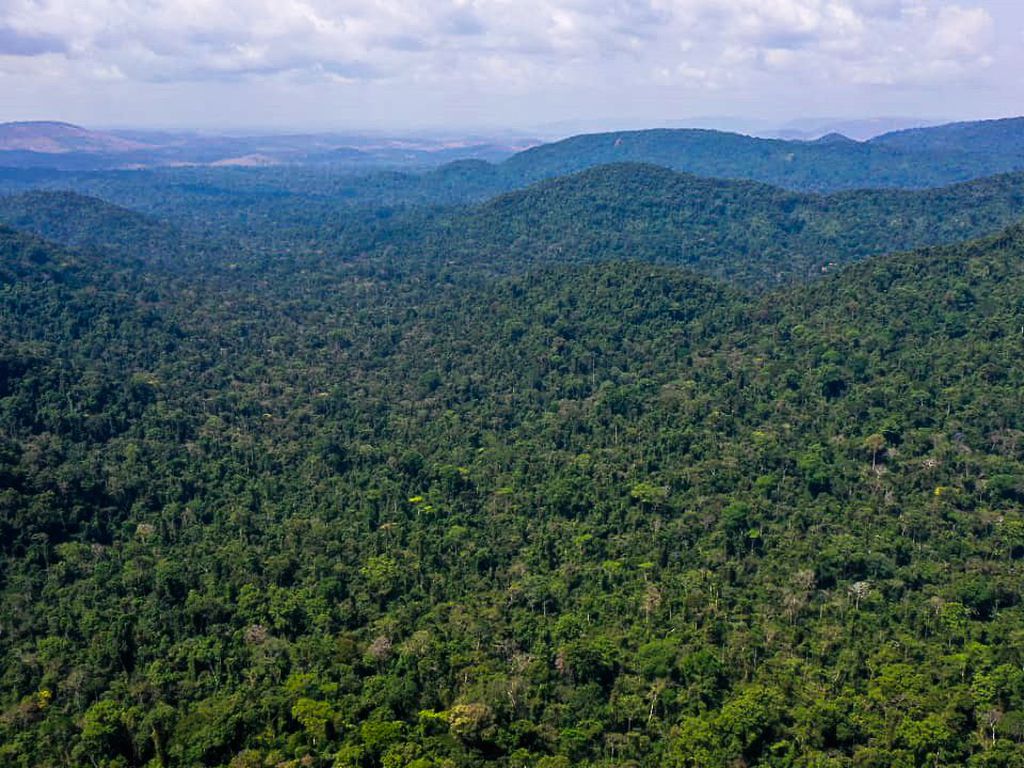 Vista aérea da Floresta Amazônica. 
Projeto define um limite para as emissões de gases de efeito estufa e cria um sistema de compensação, no qual as empresas que reduzirem suas emissões de dióxido de carbono serão recompensadas com bonificações. Foto: TV Brasil