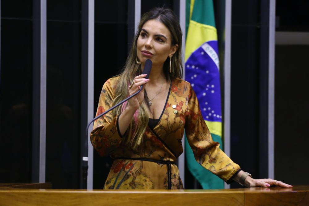 Paula Belmonte, deputada distrital, defende que as ações em defesa das crianças não devem cessar. Foto: Vinicius Loures/Câmara dos Deputados