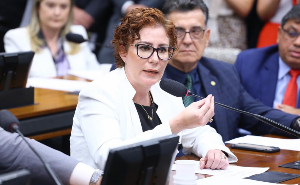 Ex-comandante da Aeronáutica relatou à PF ter sido pressionado por Carla Zambelli para participar de golpe em favor de Bolsonaro. Foto: Vinicius Loures/Câmara dos Deputados