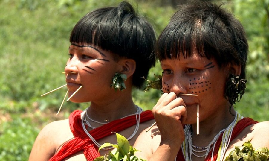 Projeto aprovado na Comissão da Amazônia reconhece o ano de 1500 como início do genocídio indígena e proíbe marco temporal para demarcações. Foto: TV Brasil/Divulgação© EBC/TV BRASIL