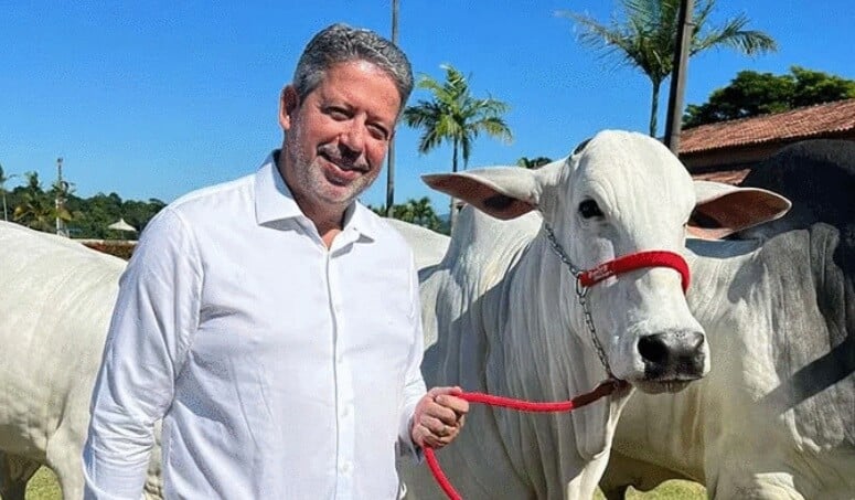 Presidente da Câmara omitiu da Justiça eleitoral a propriedade de gado e de várias fazendas. Foto: De Olho nos Ruralistas