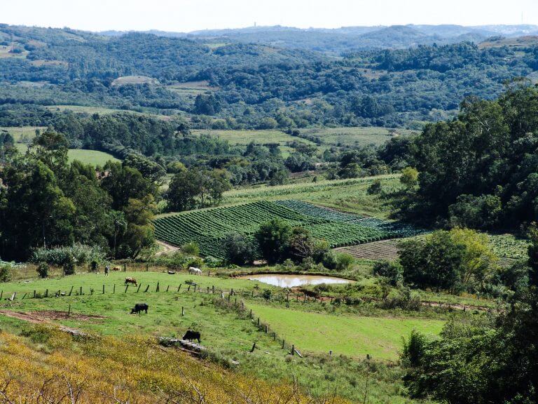 Projeto que facilita venda de terra a estrangeiros enfrenta resistência do Ministério Público Federal. Foto: Prefeitura de Pelotas/RS