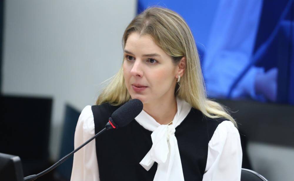 Deputada Luísa Canzini (PSD-PR), apresentou o relatório do GT de Combate à violência nas escolas, que foi aprovado pelo colegiado. Foto: Vinicius Loures/Câmara dos Deputados