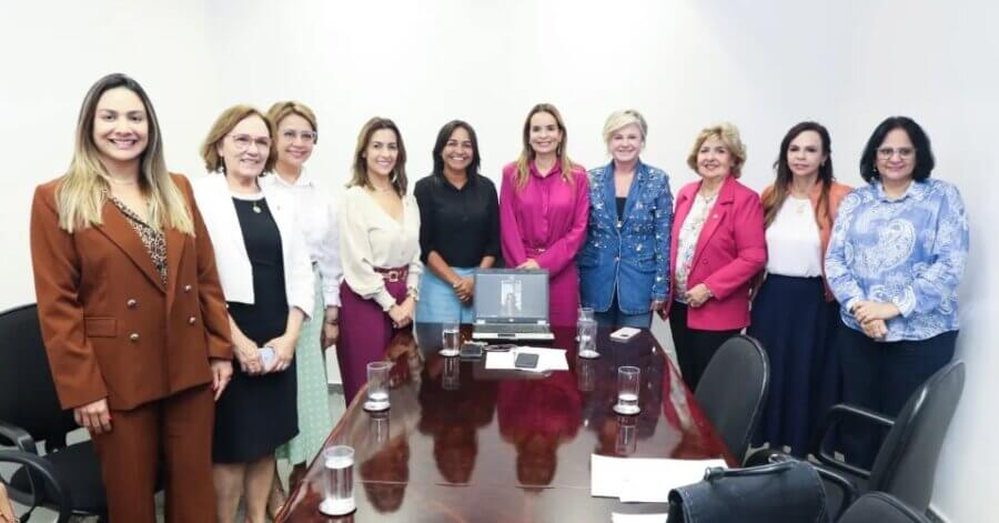 Integrantes da bancada feminina no Senado, liderada por Daniella Ribeiro, ao centro, de roupa rosa. Foto: redes sociais