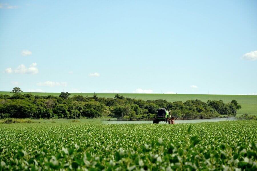 O Brasil consome anualmente mais de 300 mil toneladas de produtos que têm agrotóxicos em suas composições, de acordo com a Embrapa. Foto: Pixabay