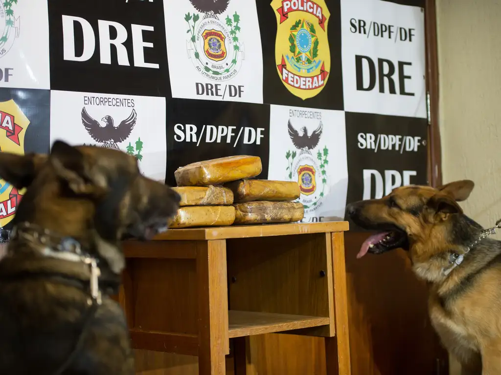 Drogas apreendidas pela Polícia Federal, em 2015. Foto: Marcelo Camargo/Agência Brasil