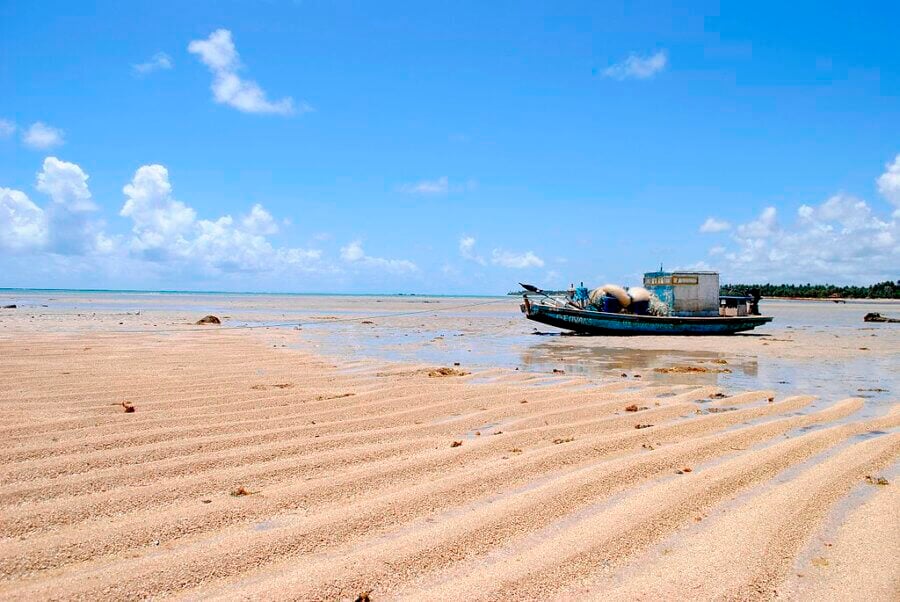 Praia do Patacho, em Alagoas. Foto: 	Cícero R. C. Omena (via Wikimedia Commons - licença Creative Commons)