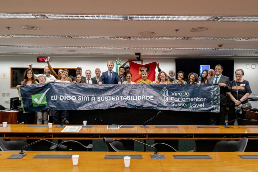 Participantes da Virada Parlamentar Sustentável durante audiência pública. Foto: Reprodução/Virada Parlamentar Sustentável