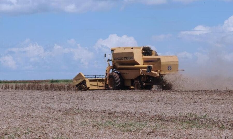 Agronegócio foi o setor que mais contribuiu para o crescimento da economia em 2023. Foto: Agência Brasil