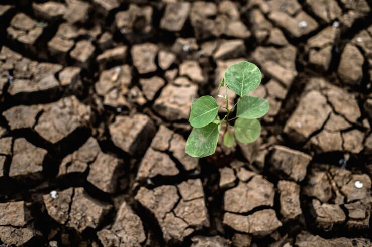 Comissão de Legislação Participativa realiza audiência pública para discutir a Conferência Brasileira de Mudança do Clima. Foto: Freepik