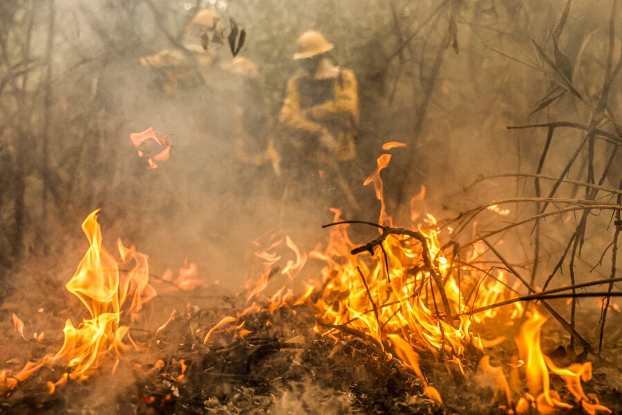 Referência mundial em estudos climáticos teme ação coordenada do crime organizado em onda de incêndios florestais do último fim de semana. Foto: Marcelo Camargo/Agência Brasil