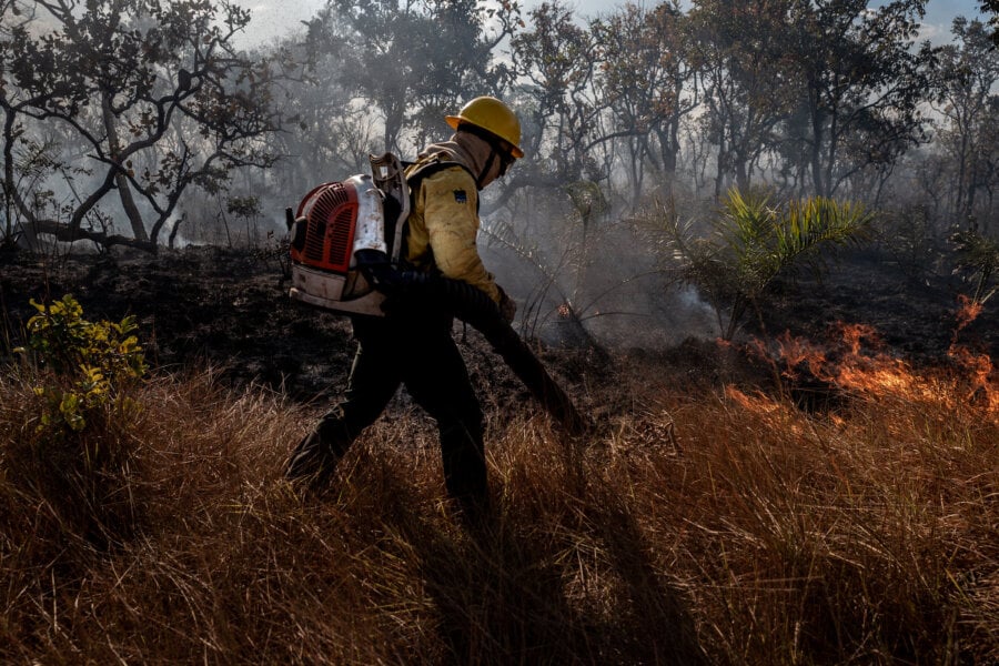 Período de janeiro a setembro de 2024 supera queimadas de 2019 na Amazônia, ano marcado pela ação criminosa conhecida como 