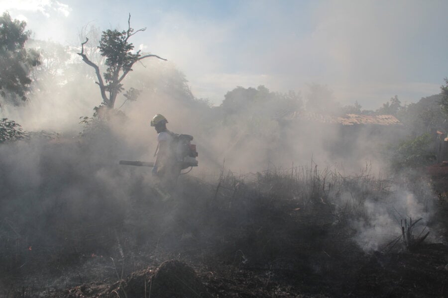 Líderes governistas na Câmara e Senado tentam avançar em projetos de lei que aumentem as penas para autores de incêndios florestais. Foto: Lucas Neiva/Congresso em Foco