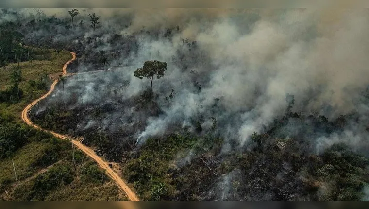 São Félix do Xingu, município com área equivalente a 55 vezes a de São Paulo, é um dos mais atingidos por queimadas no país. Foto: Victor Moriyama/Greenppeace