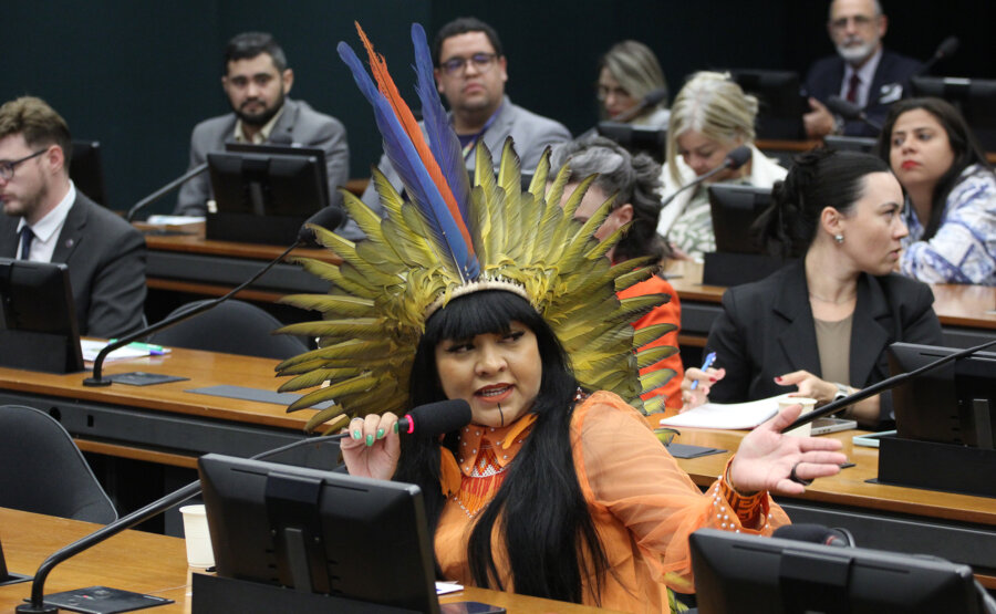 Líder da Bancada do Cocar teme que pacote de retaliação do Congresso ao STF possa comprometer direitos fundamentais dos povos indígenas. Foto: Vinicius Loures/Câmara dos Deputados