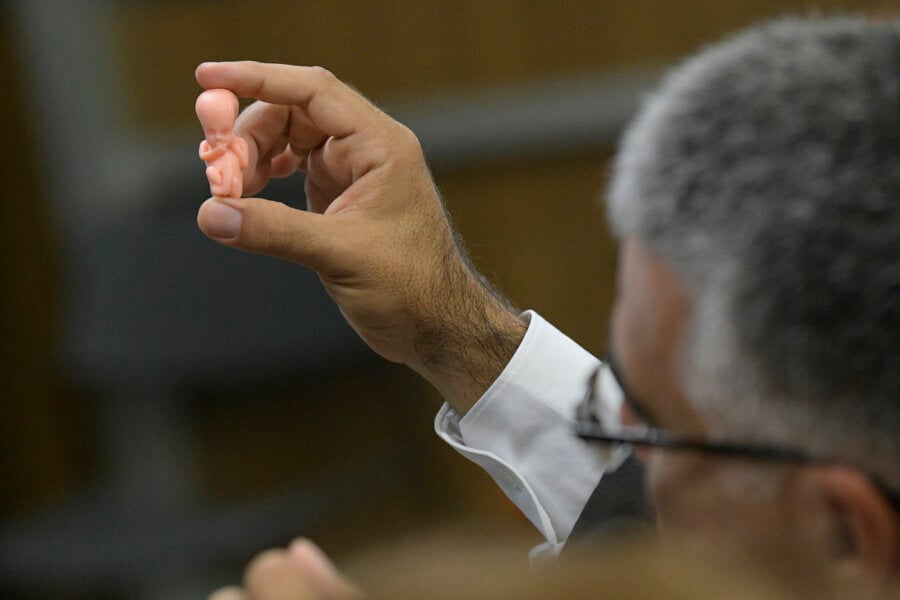 Réplica de feto nas mãos do senador Eduardo Girão (Novo-CE). Foto: Pedro França/Agência Senado