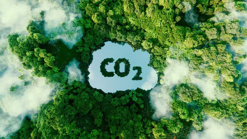 Na COP 29, os 70 mil delegados entraram em acordo e estabeleceram que a ONU vai detalhar os tipos de projetos e atividades que poderão gerar créditos de carbono. Foto: Adobe Stock