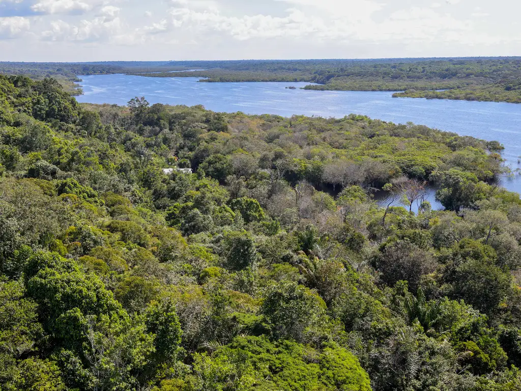 Vista aérea da Floresta Amazônica, à beira do Rio Negro. Foto: Fabio Rodrigues-Pozzebom/Agência Brasil