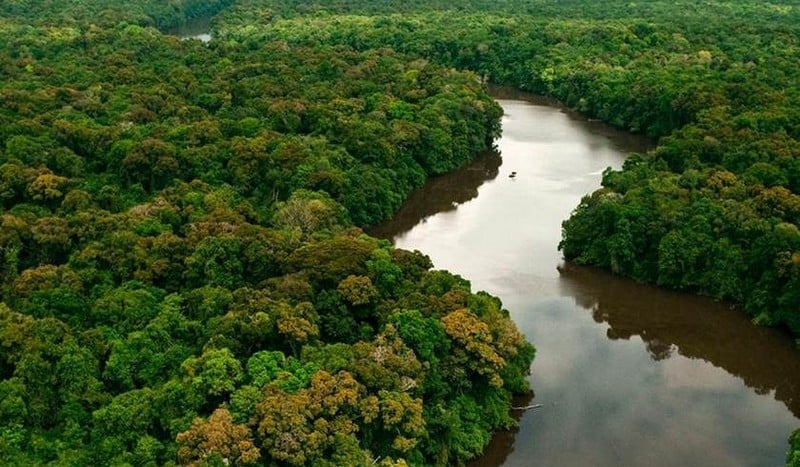 Amazônia mato-grossense. Foto: Portal Mato Grosso