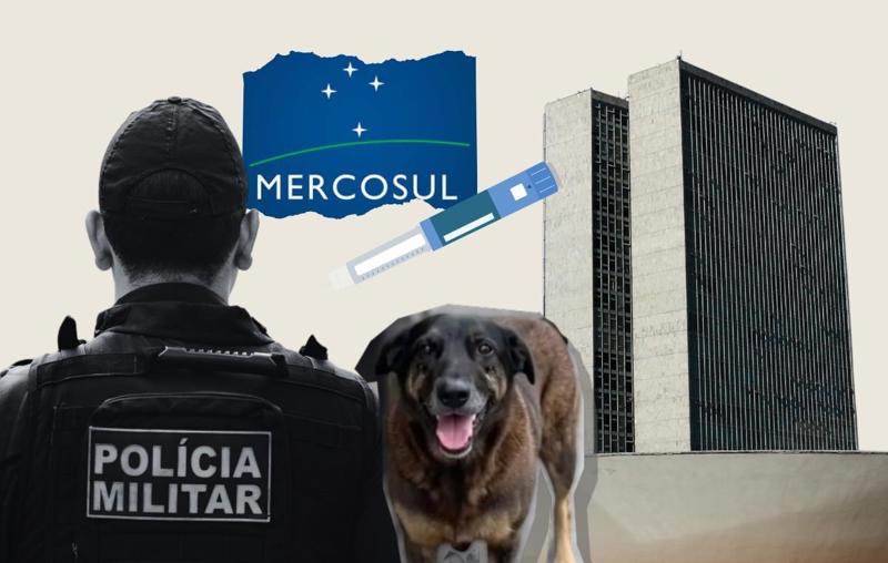 Recesso eleitoral e janela partidária apertam o calendário do Legislativo após o Carnaval de 2026.