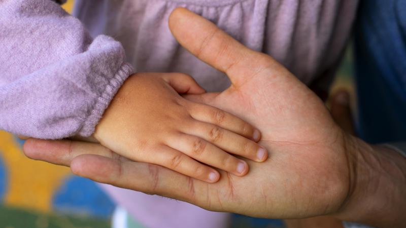 Leis já aprovadas seguem sem aplicação efetiva, enquanto crimes contra crianças exigem resposta rápida, rigorosa e permanente.