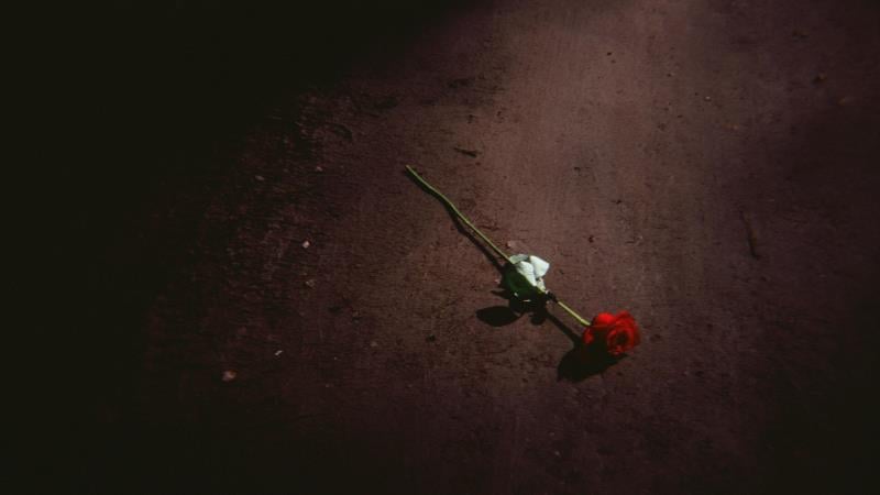 Somos um país que rejeita a pena de morte no papel, mas naturaliza mortes fora e dentro das cadeias, sem enfrentar causas estruturais.