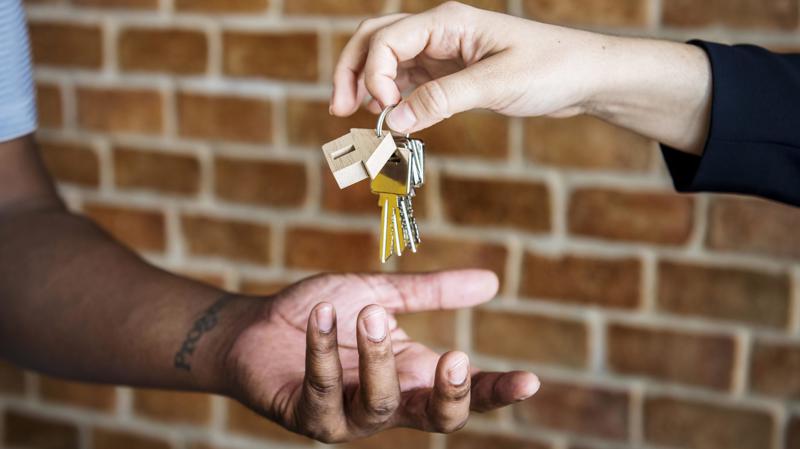 A Lei Complementar 214/2024 exige receita elevada e estrutura empresarial cumulativa; leitura isolada do artigo 251 distorce o alcance da regra.