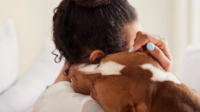Autor da proposta defende que Brasil ainda carece de regulamentação abrangente sobre o uso terapêutico de animais.