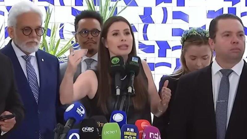 Pedido assinado por Carol de Toni inclui acusações contra ministros de múltiplos partidos.