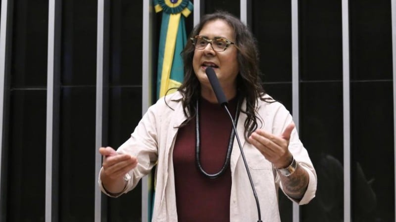 O projeto foi apresentado pela deputada Duda Salabert.