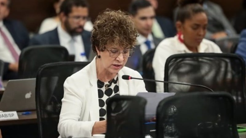 Conselheira federal Vera Lúcia Paixão, relatora da ação.