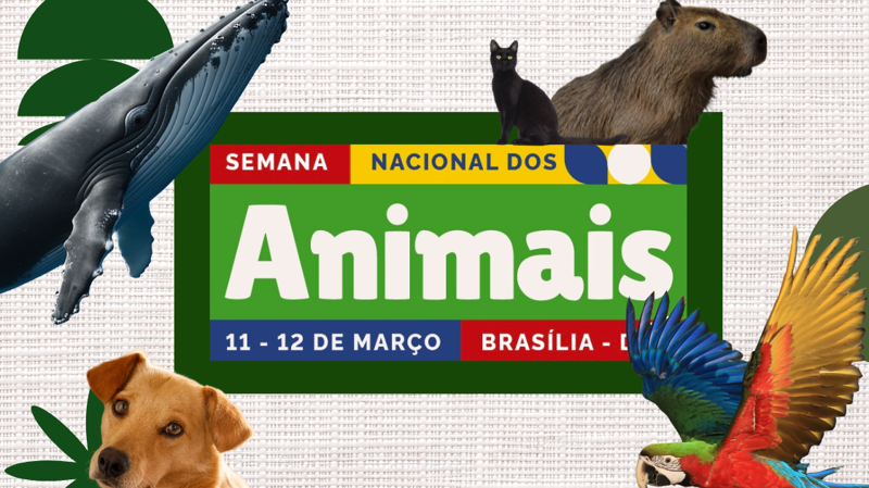 Evento debate políticas públicas e lança carta-compromisso para candidatos nas eleições de 2026.