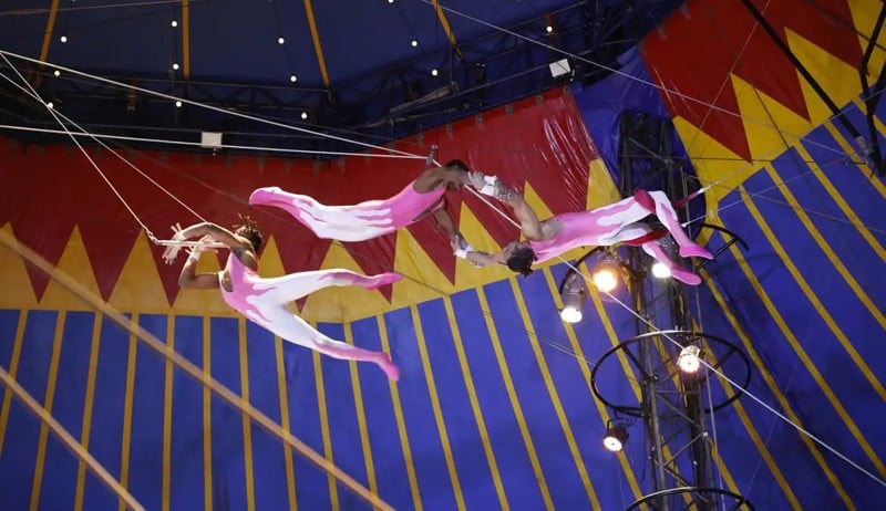 Atividade circense brasileira pode ser reconhecida por lei como expressão da identidade nacional.